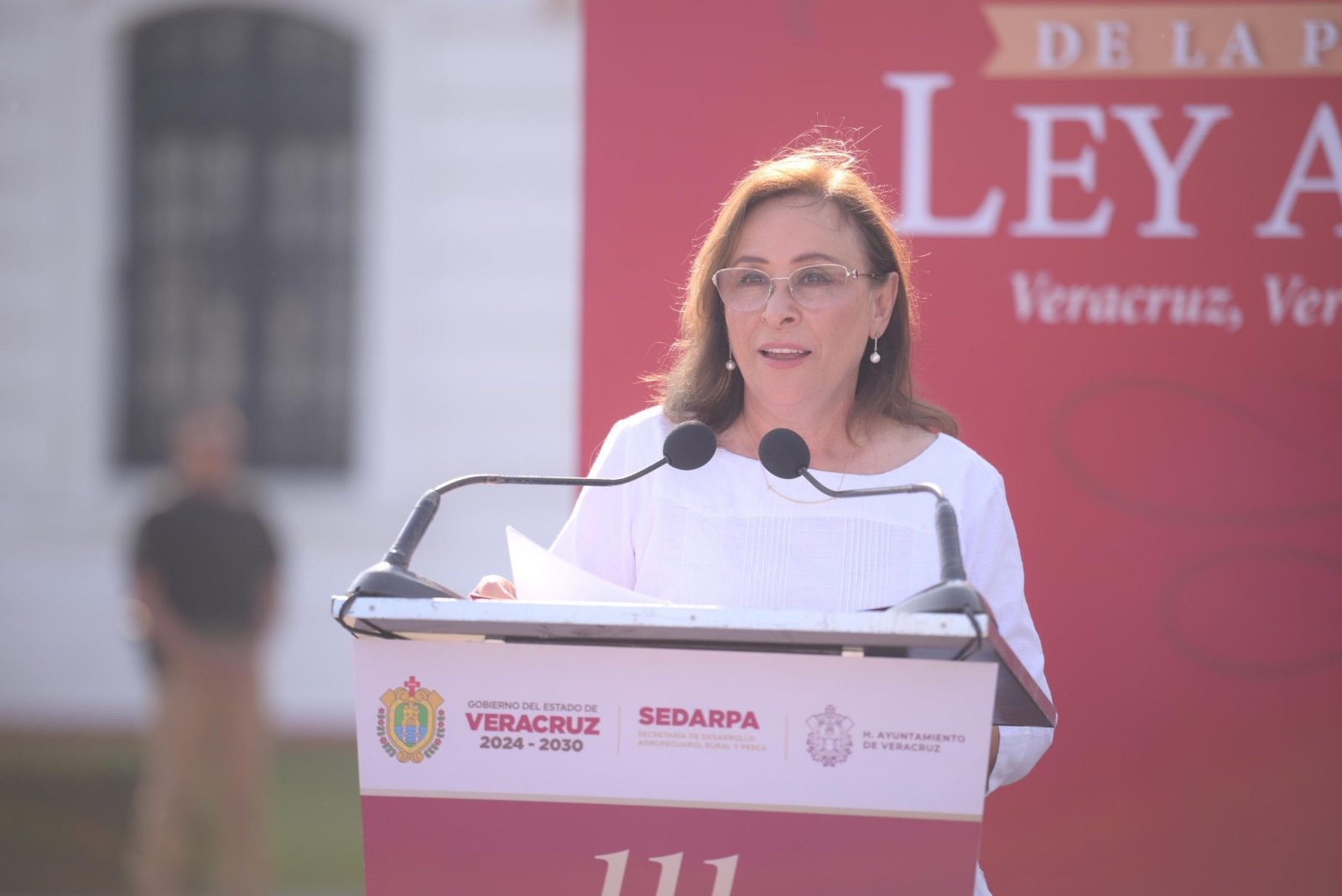 Organización y apoyo institucional harán del campo motor de desarrollo: Rocío Nahle