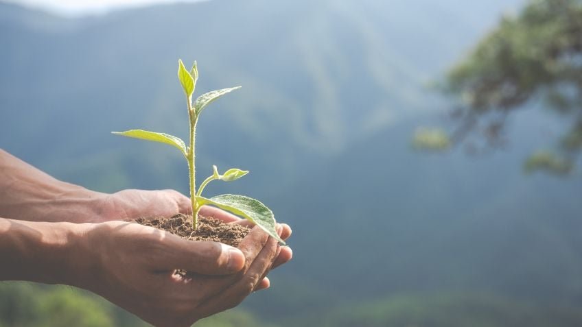 ¿El planeta Tierra tiene límites?