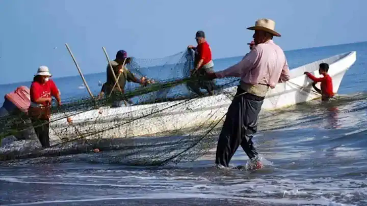 Benefician a 2 mil pescadores del sur de Veracruz con apoyos de SEDARPA.